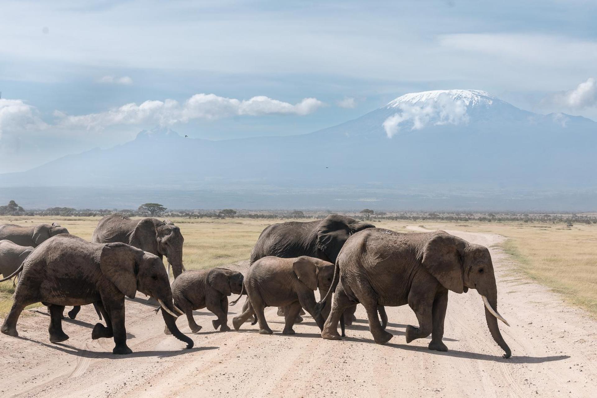 Kilimanjaro View Cabin-Amboseli Oloitokitok Camera foto